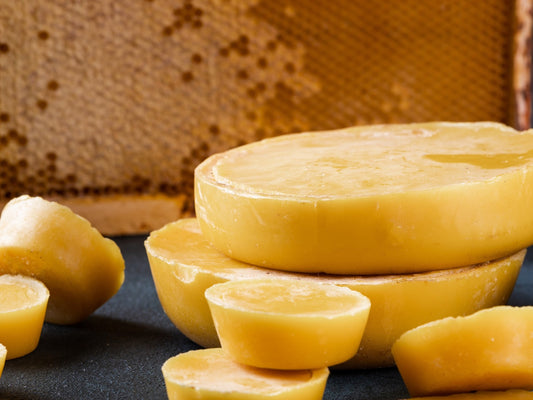 Beeswax pucks close up.