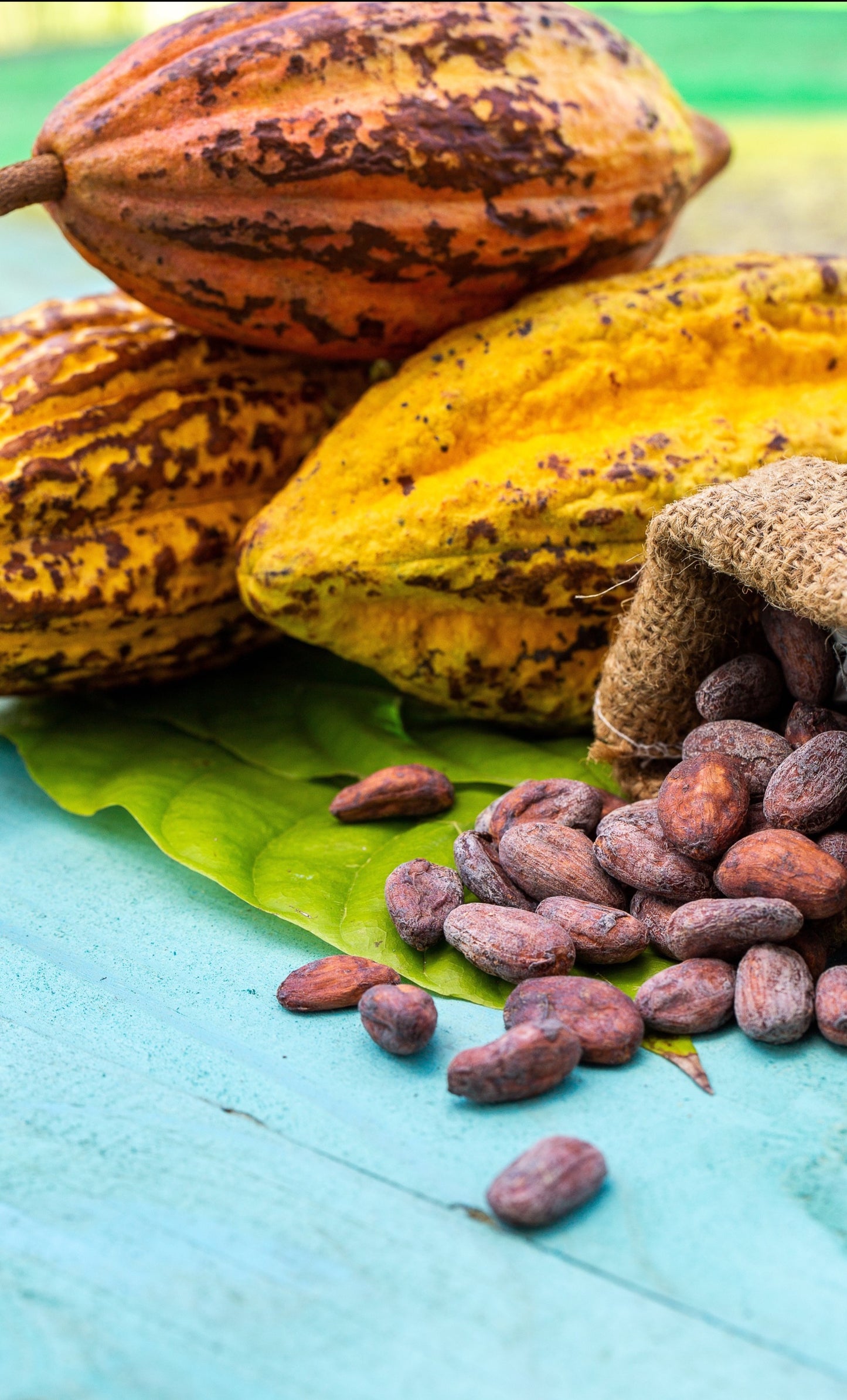 Cacao Infused Honey