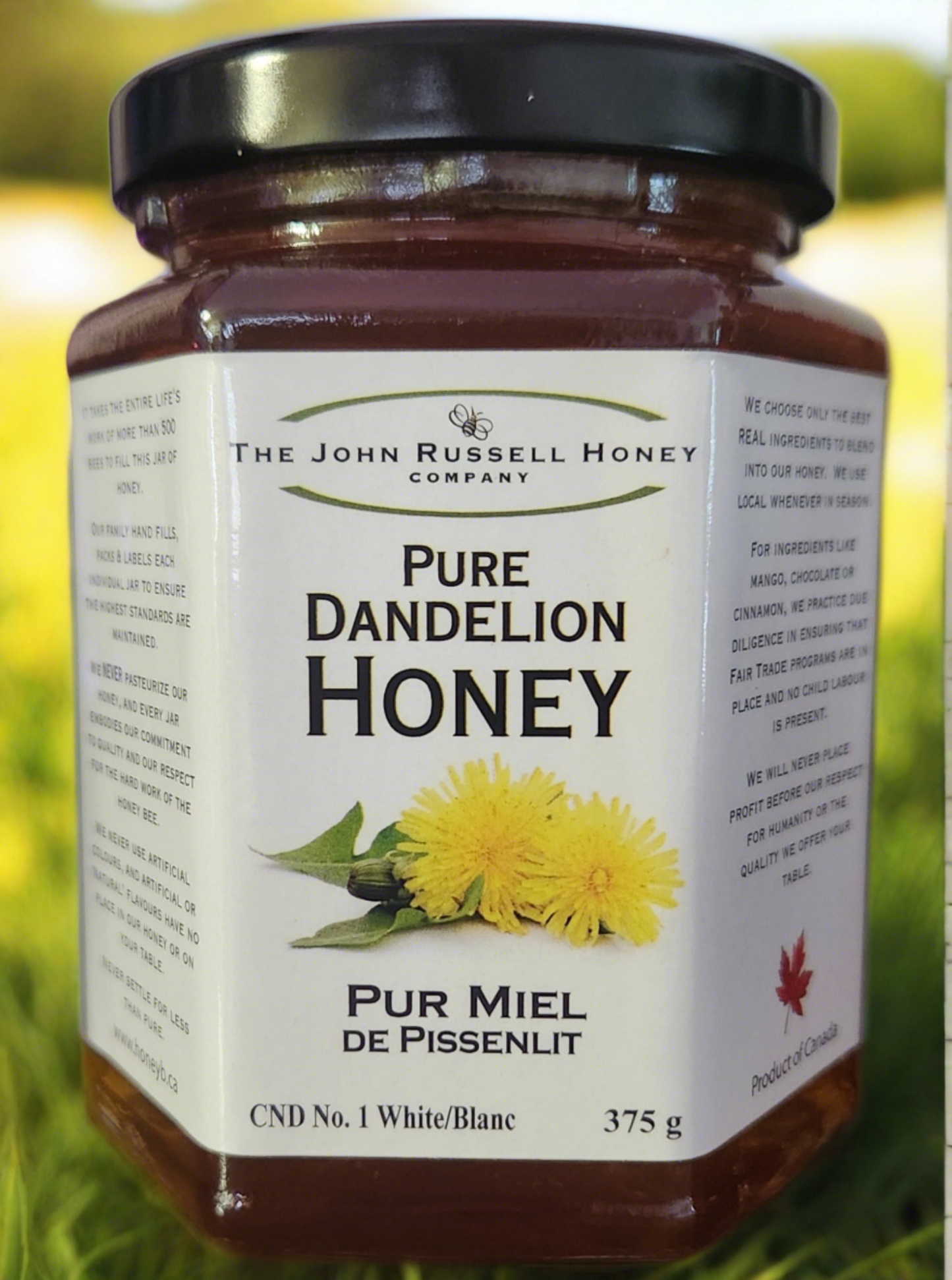 Dandelion Honey