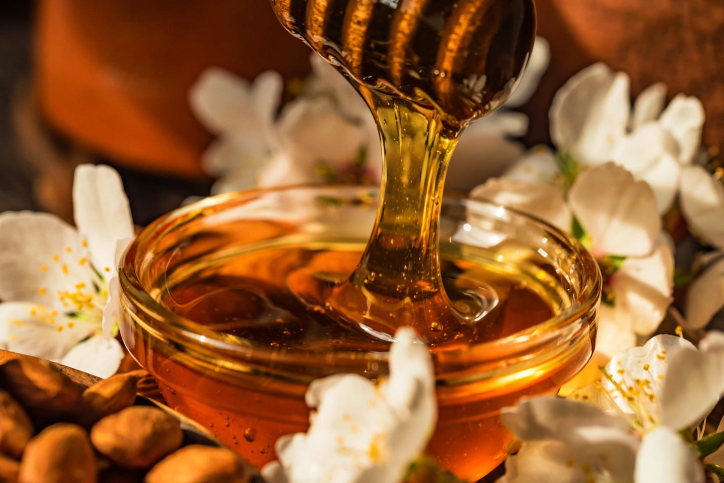 Promo Honey Pails!! πΊ (Sold Out!)