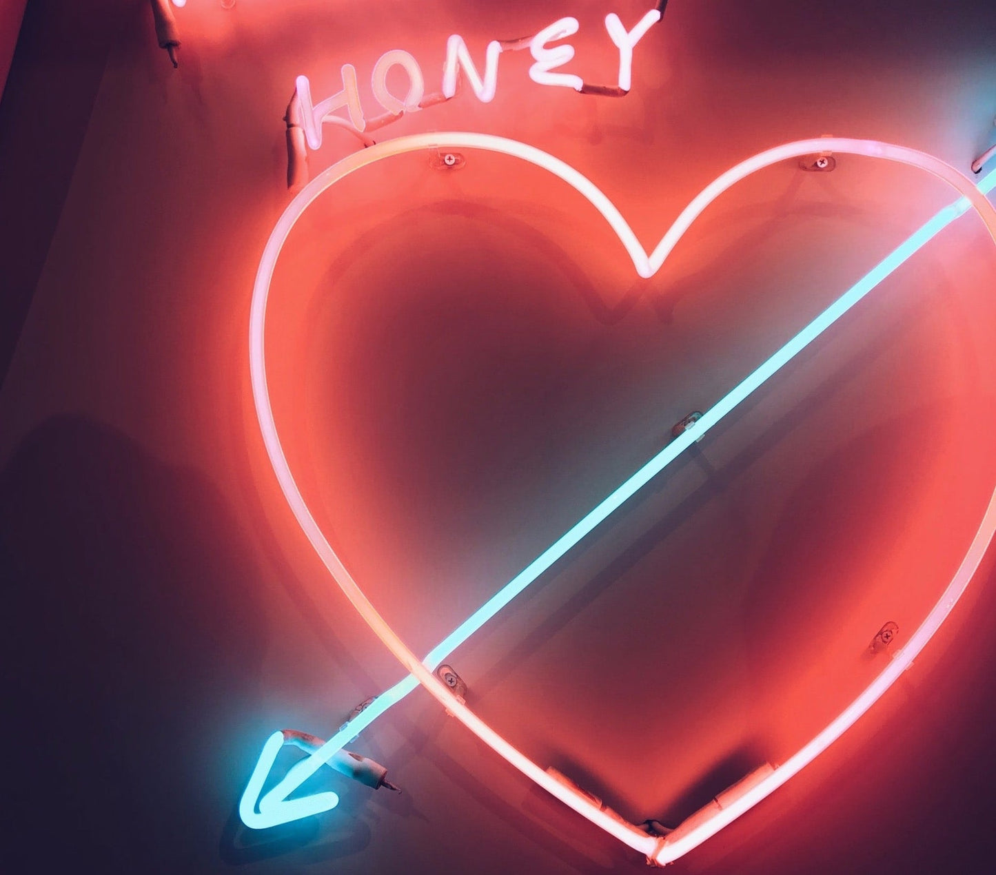 CKHB Honeybee Radio Fundraising Drive!