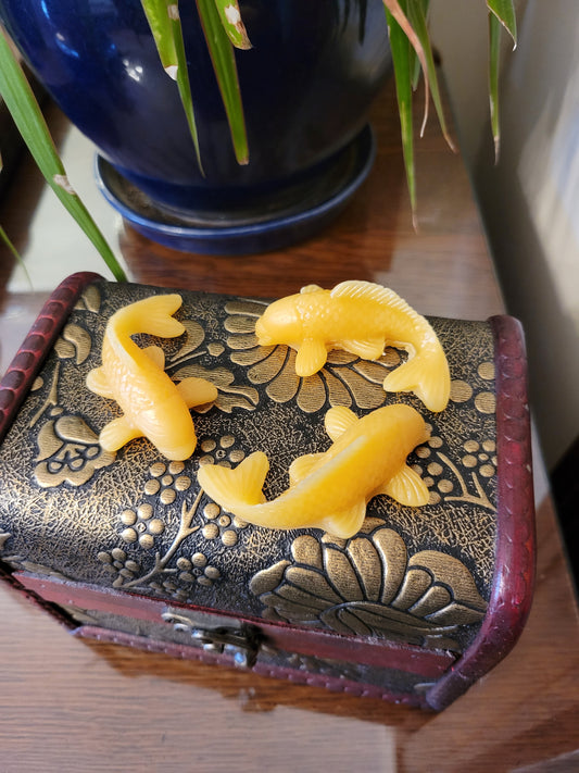 School of Koi