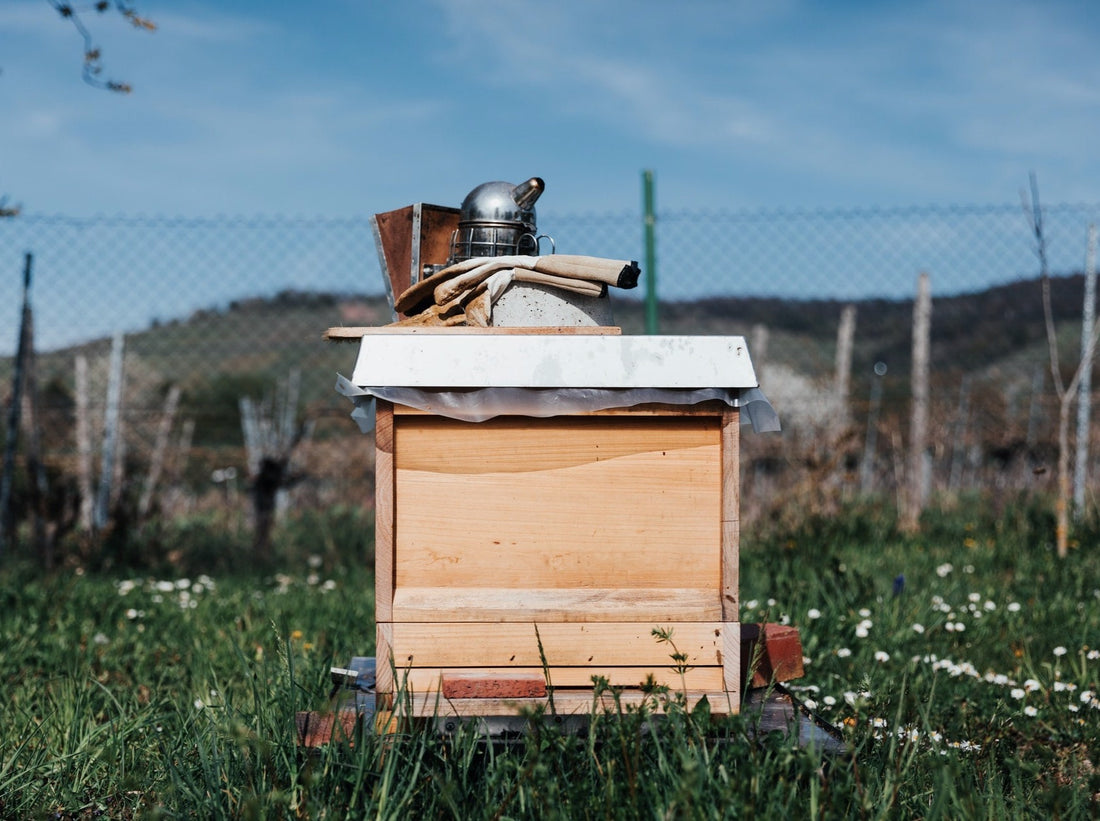 Holistic Beekeeping