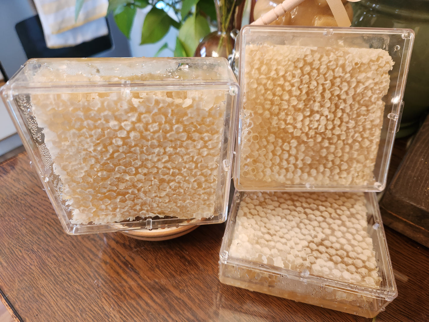 Comb Honey / Honeycomb