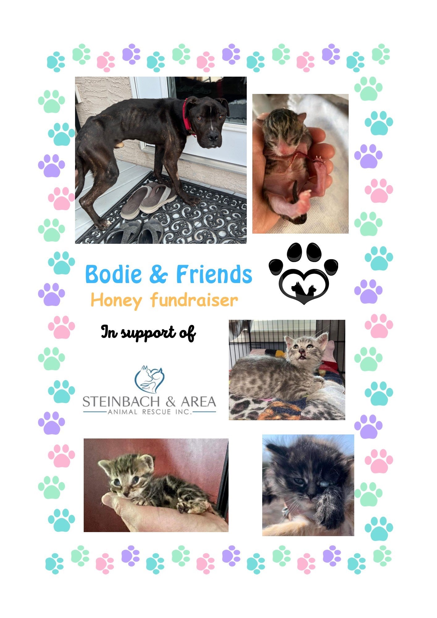 Bodie And Friends Fundraiser ❤️