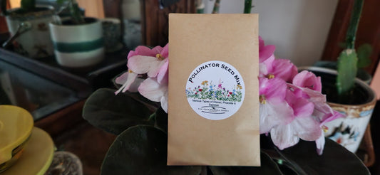 Wildflower Seed Packet