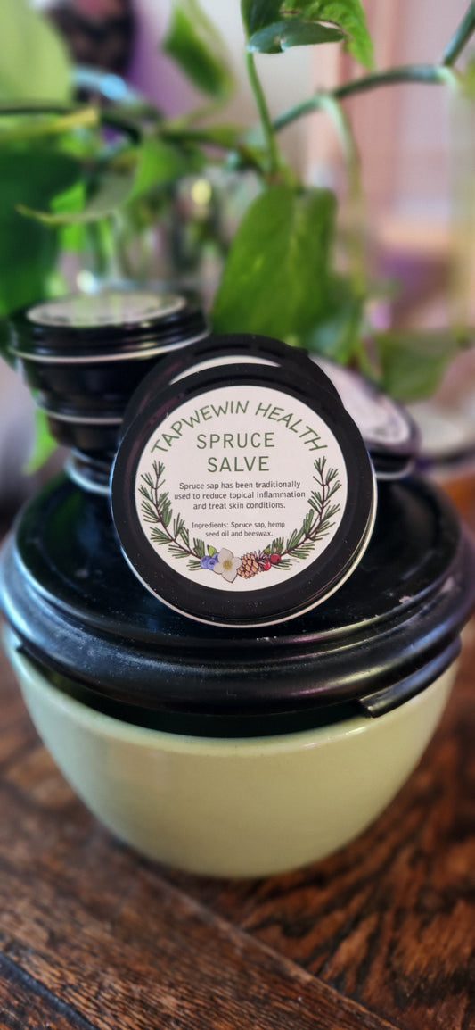 Traditional Medicine Spruce Salve (Special Intro Sale!! 💖)