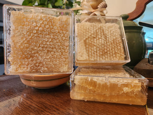 Comb Honey / Honeycomb