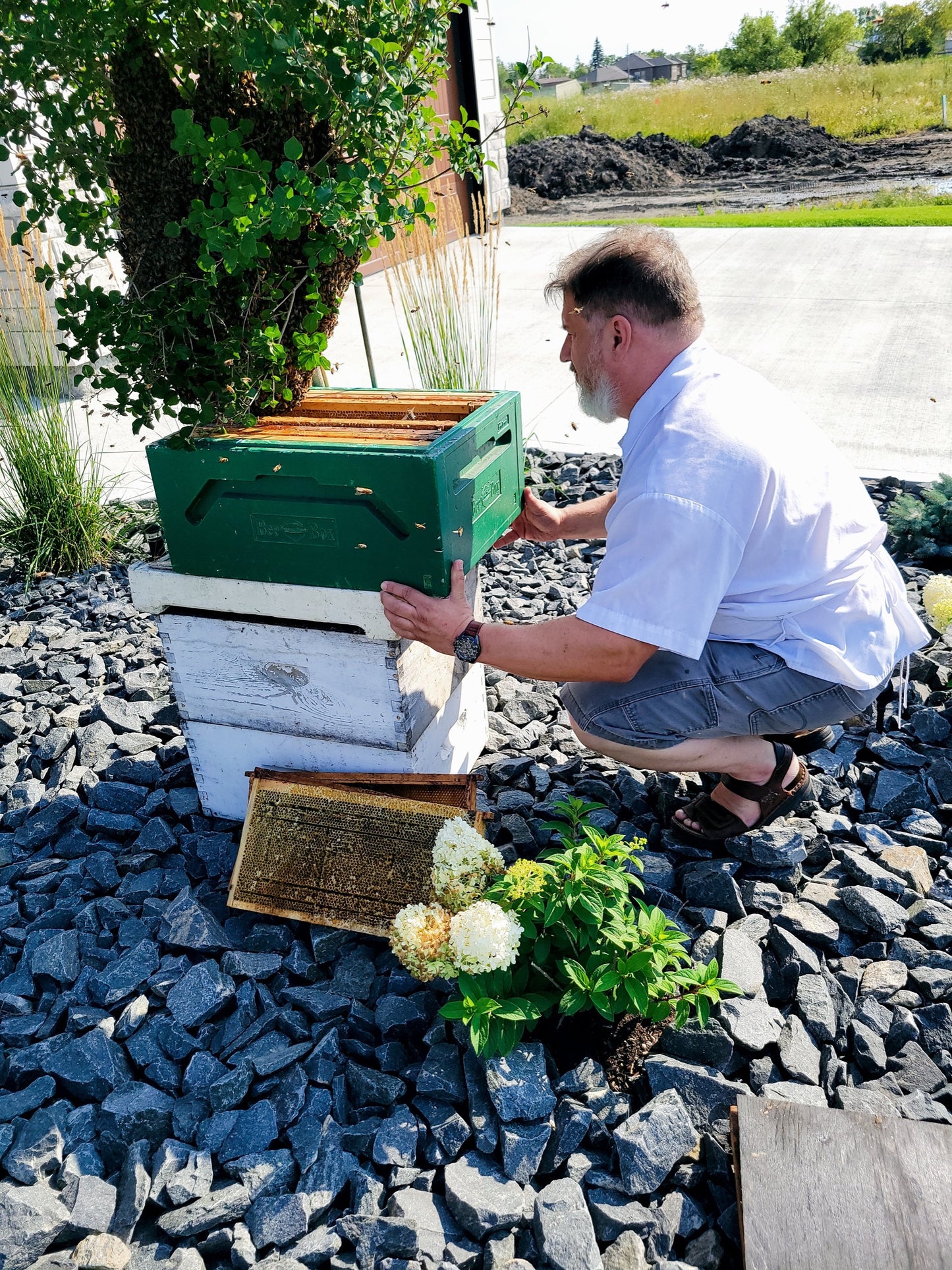 Beekeeper with hive boxes.